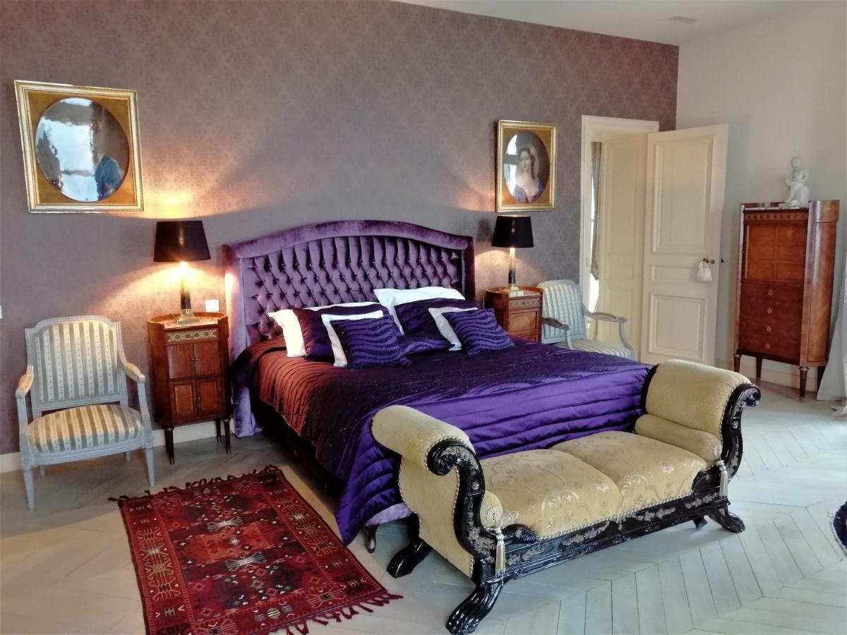 ชาโต ดู เบก ดู กาฟ Bed & Breakfast Port-de-Lanne ภายนอก รูปภาพ